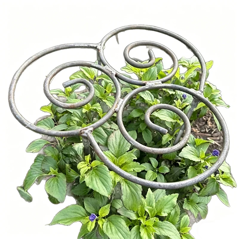 BloomGuard – Unerschütterliches Blütenvertrauen - Image 9