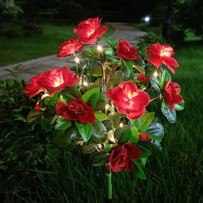 BloomLume – Nächte sofort verwandeln - Image 15