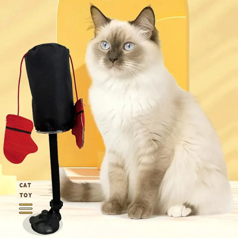 CatFury – Entfessle wilde Verspieltheit