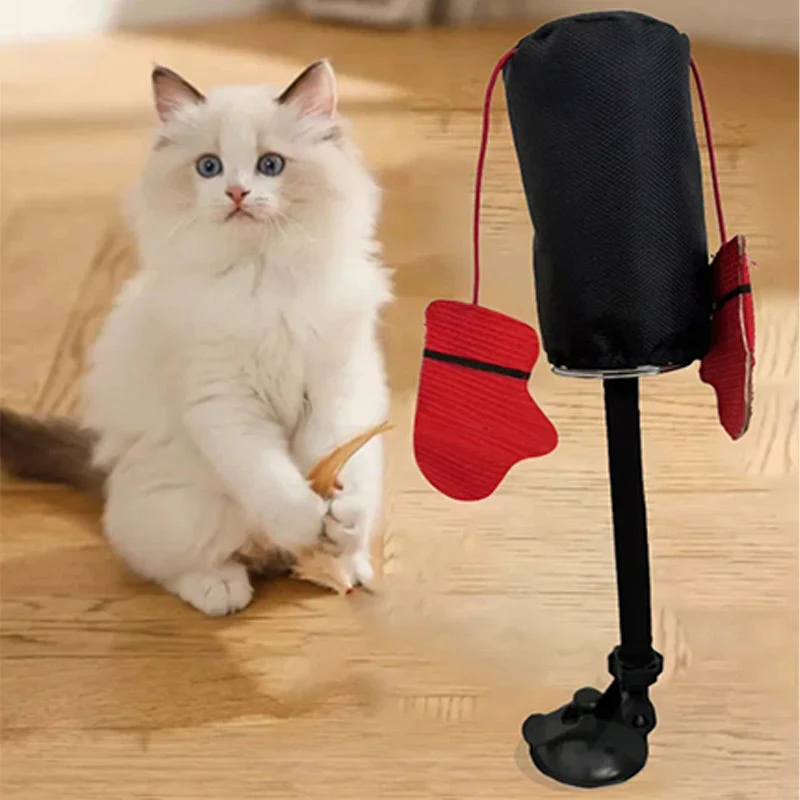 CatFury – Entfessle wilde Verspieltheit - Image 3