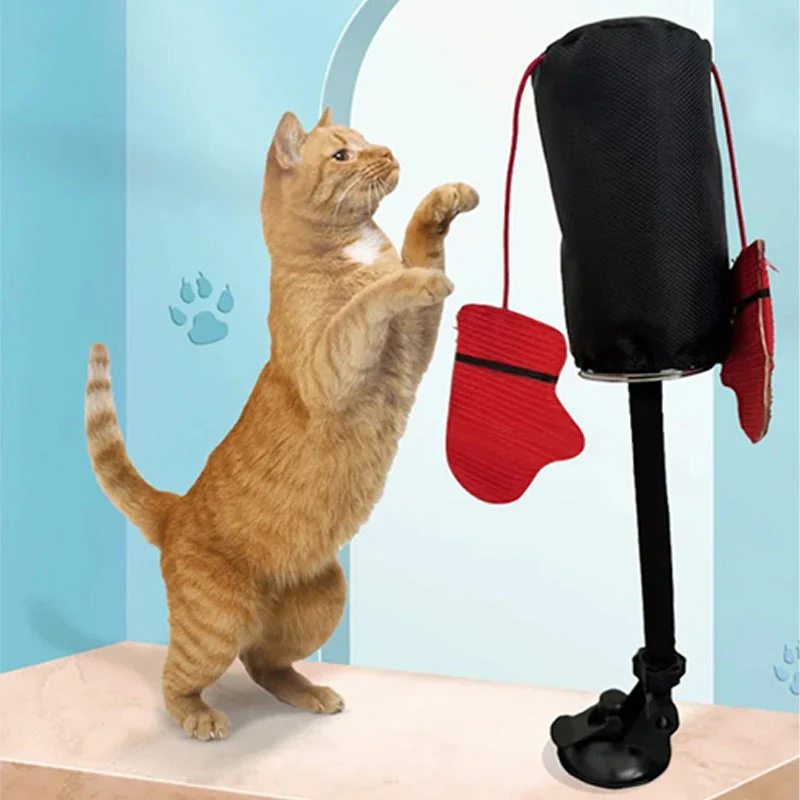 CatFury – Entfessle wilde Verspieltheit - Image 4