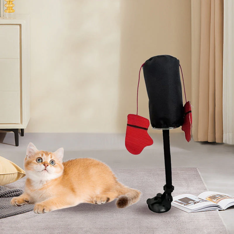 CatFury – Entfessle wilde Verspieltheit - Image 6