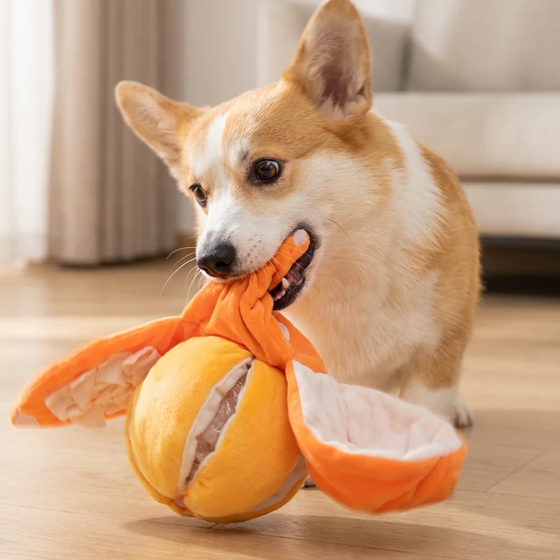CitrusQuest — Interaktives Hundespielzeug | 50% RABATT - Image 11