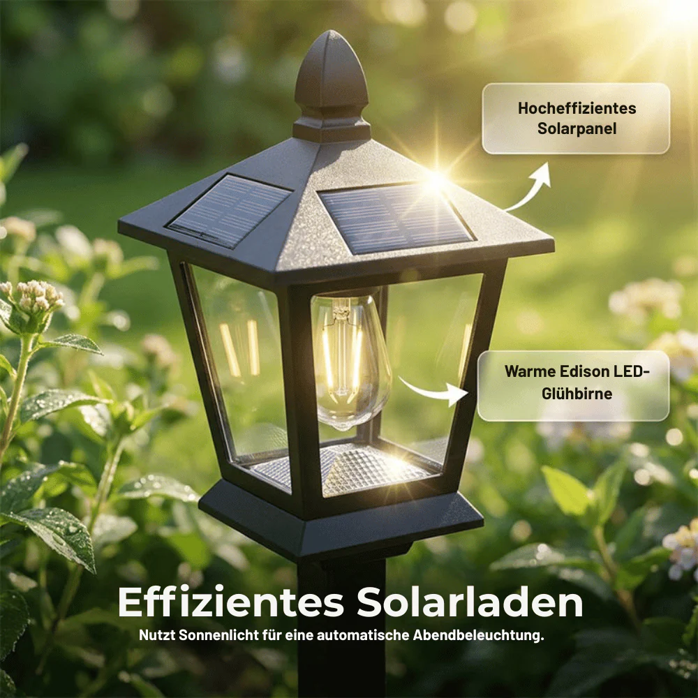 GardenGlow — Solar Pflanzleuchte | 50% RABATT - Image 5