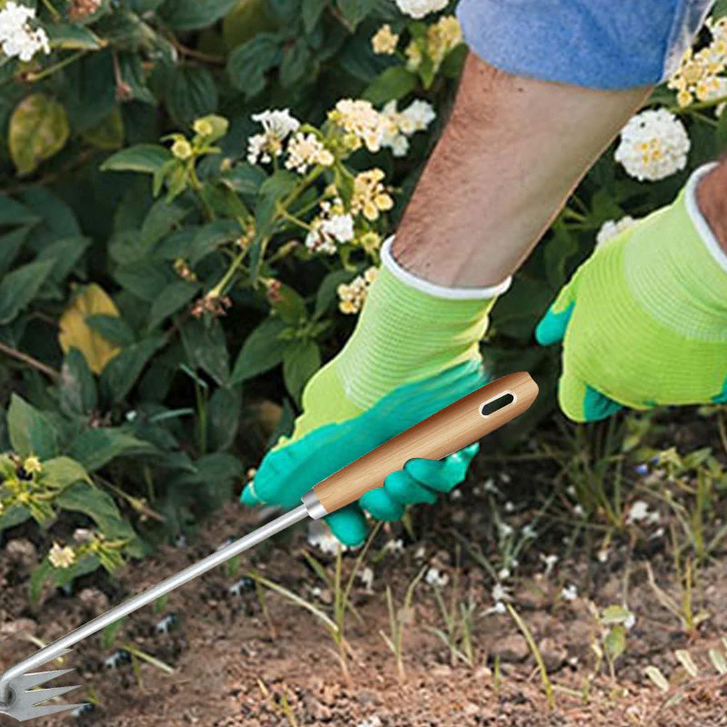 GardenMaster Pro — Unkrautstecher-Gabel | 1+1 GRATIS - Image 13