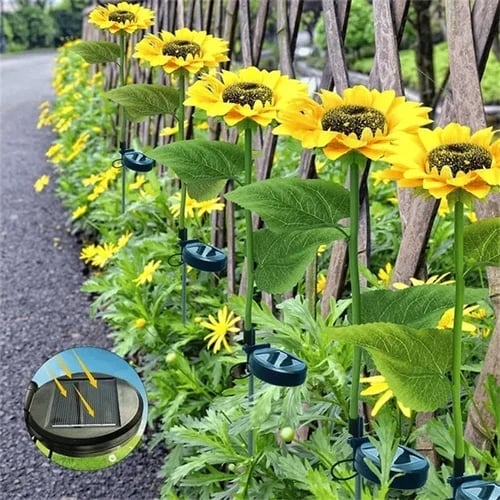 Gartenstrahlen – Bezaubernder warmer Schein - Image 17
