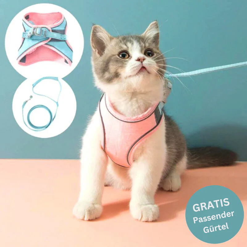 KatzenGürtel- Bequemes Katzengeschirr mit reflektierenden Streifen für sichere Nächte | 50% RABATT - Image 5