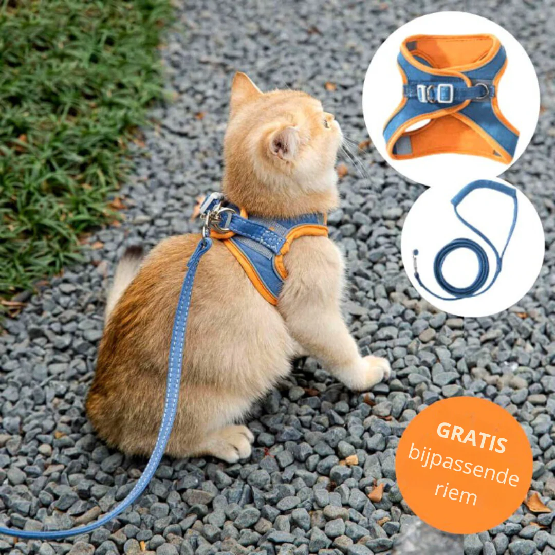 KatzenGürtel™ - Weiches und stilvolles Katzengeschirr | 50% RABATT - Image 3