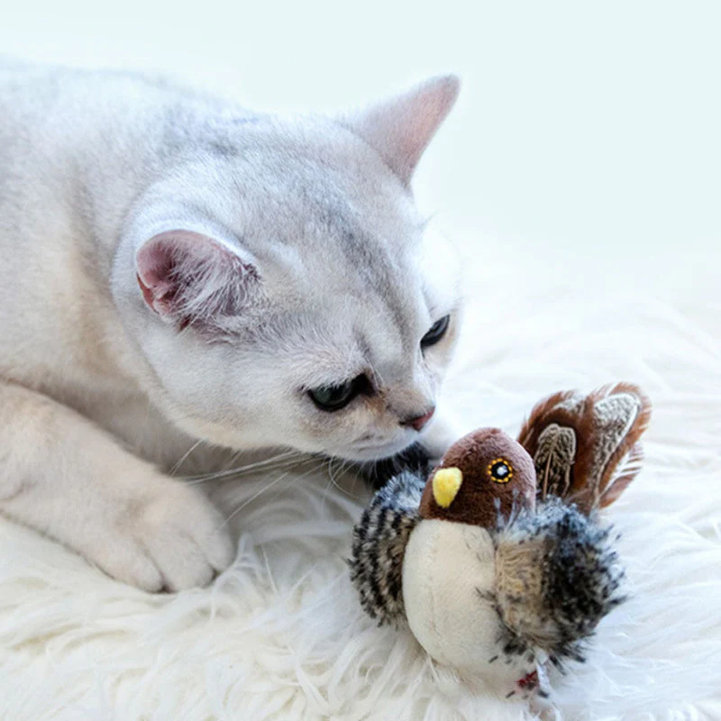 Katzenspaß™ - Der sichere Spielgefährte für Ihre Katze! 50% RABATT - Image 10