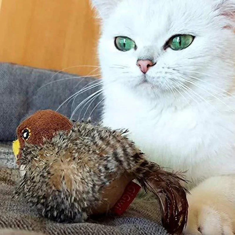 Katzenspaß™ - Der sichere Spielgefährte für Ihre Katze! 50% RABATT - Image 11