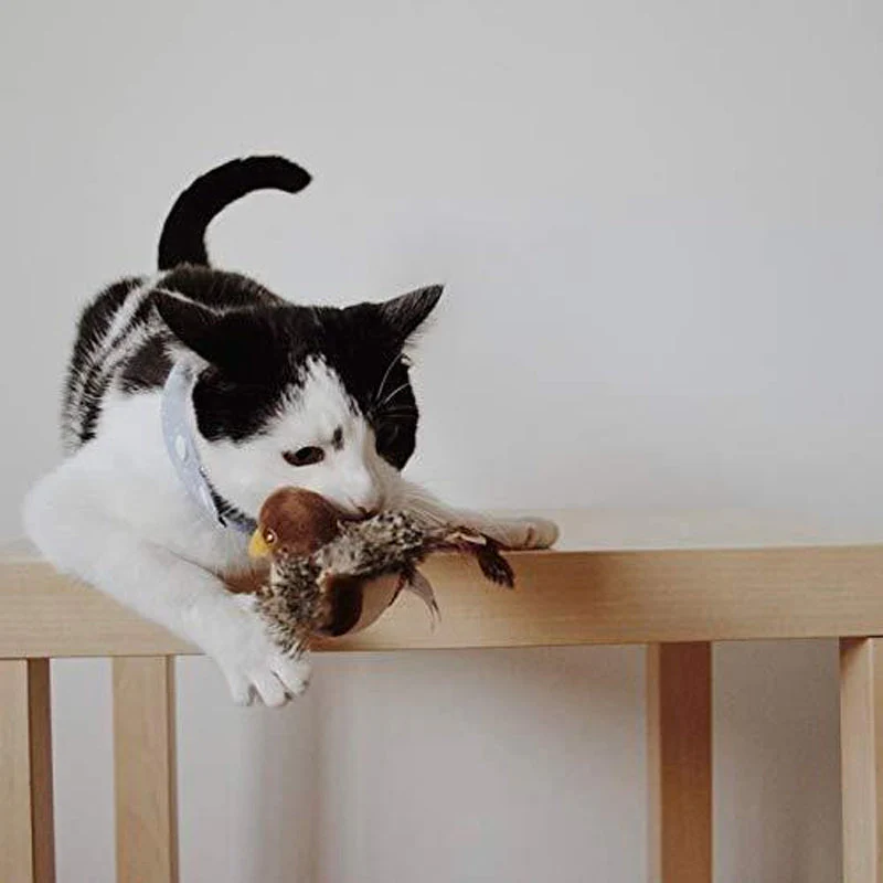 Katzenspaß™ - Der sichere Spielgefährte für Ihre Katze! 50% RABATT - Image 14