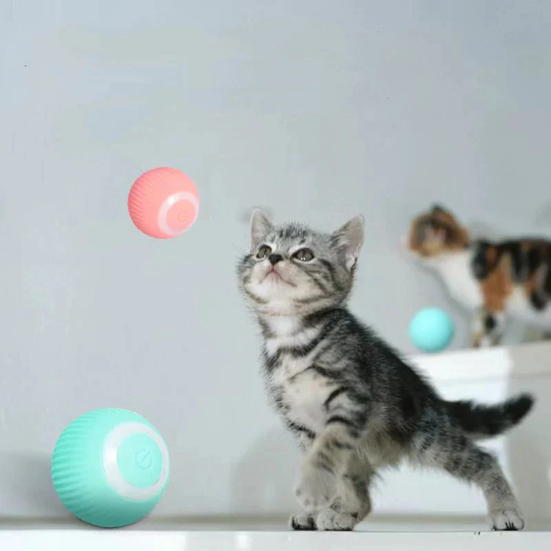 KatzenTanz™ - Aktivieren Sie die natürlichen Instinkte Ihrer Katze! | 50% RABATT - Image 11