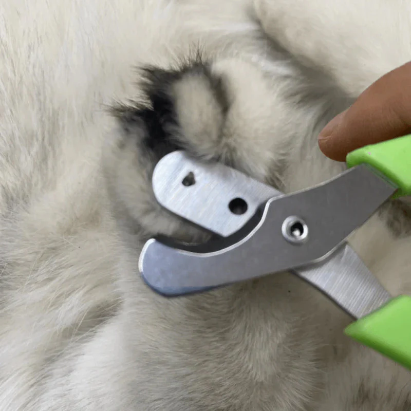 🐾Mühelos Tiernagelknipser - Image 6