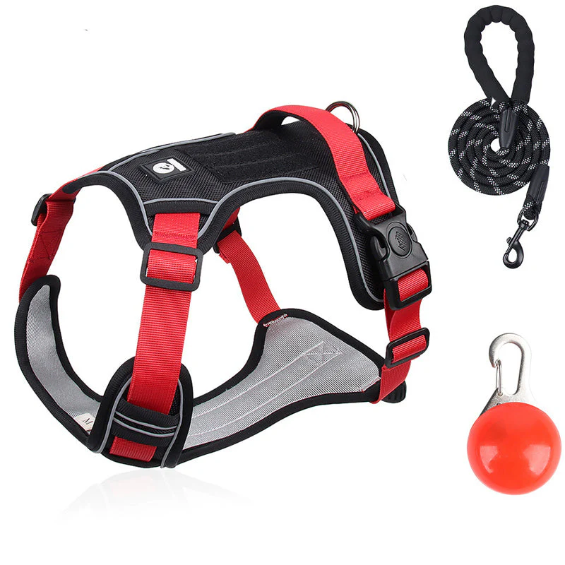 SafeWalk — Sicheres Hundegeschirr | 50% RABATT - Image 23