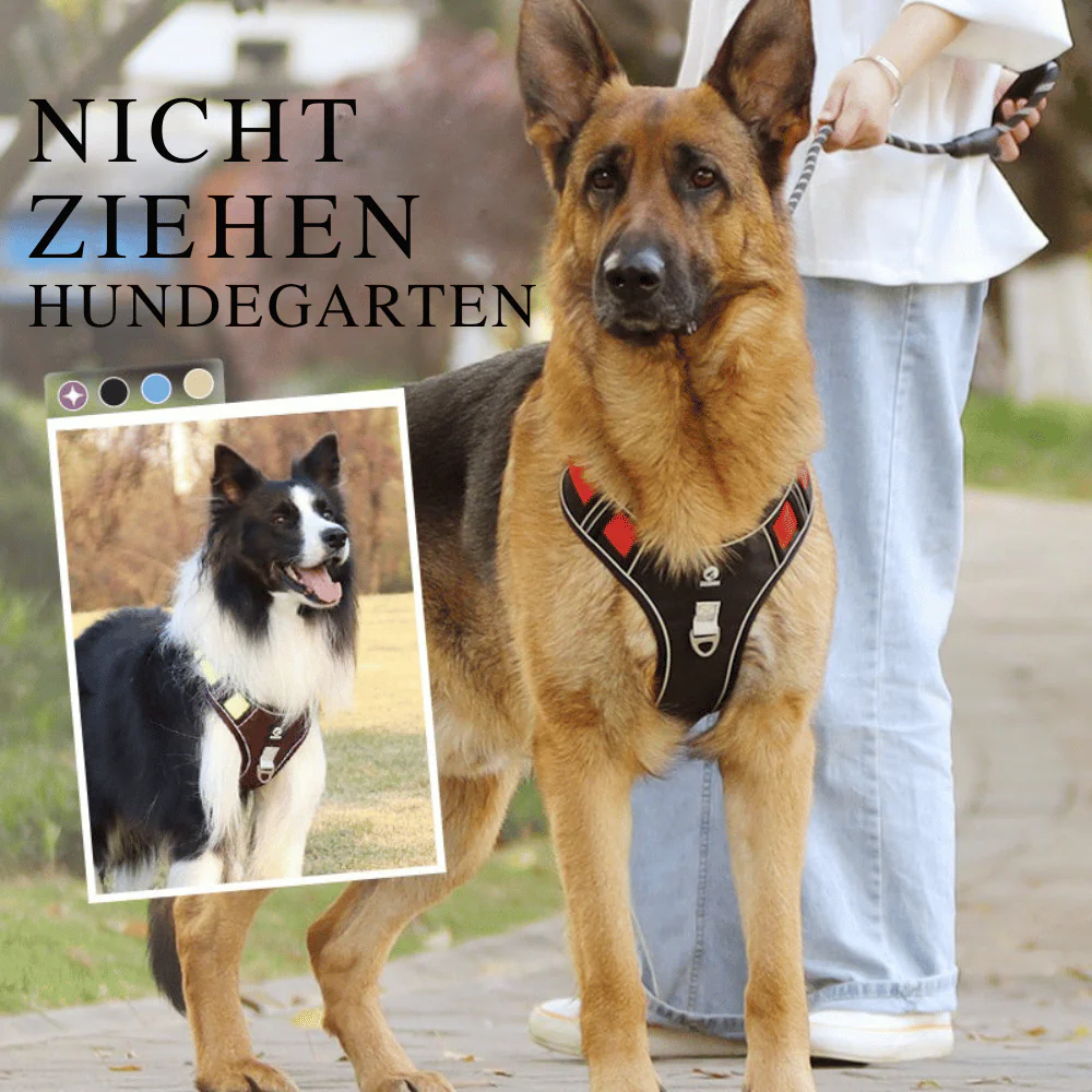 SafeWalk — Sicheres Hundegeschirr | 50% RABATT - Image 4