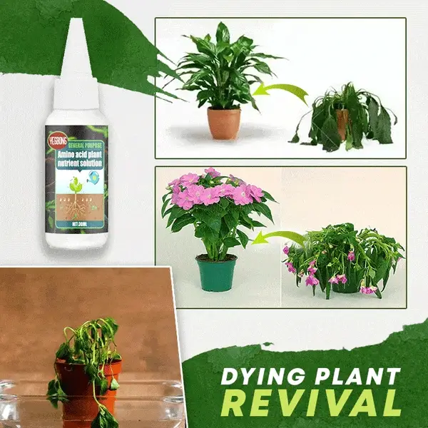 BloomRush — Pflanzen-Wachstumsbooster | 1+2 GRATIS - Image 10