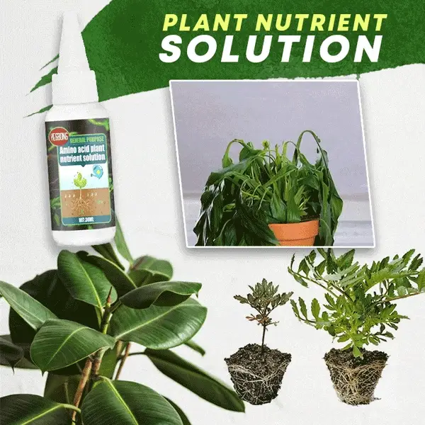 BloomRush — Pflanzen-Wachstumsbooster | 1+2 GRATIS - Image 6