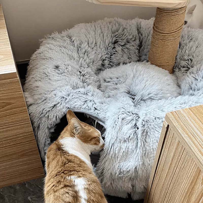 PurrLuxe – Faltbares Katzen-Tunnelbett | 50% RABATT - Image 3