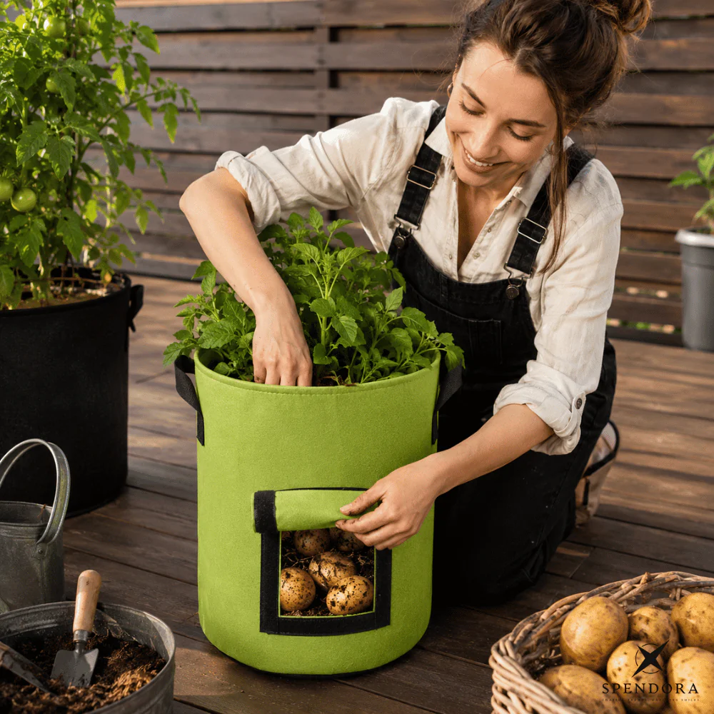 RootHarvest — Kartoffel-Pflanztaschen | 1+1 GRATIS - Image 2