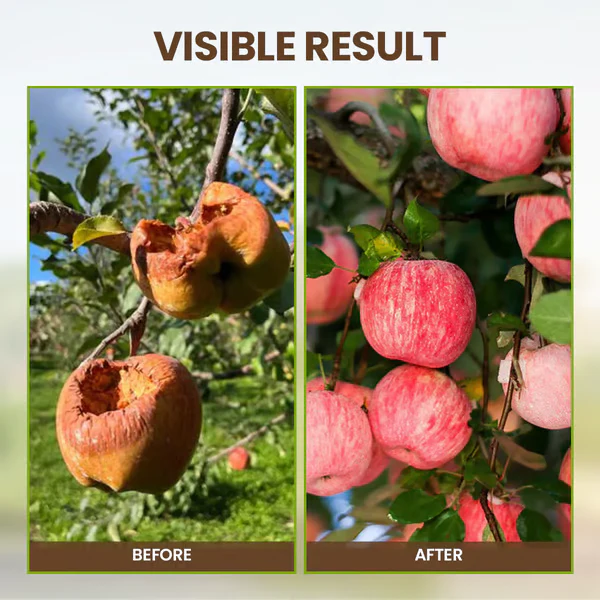 TerraBurst — Wurzeln sofort beleben | 1+1 GRATIS - Image 7