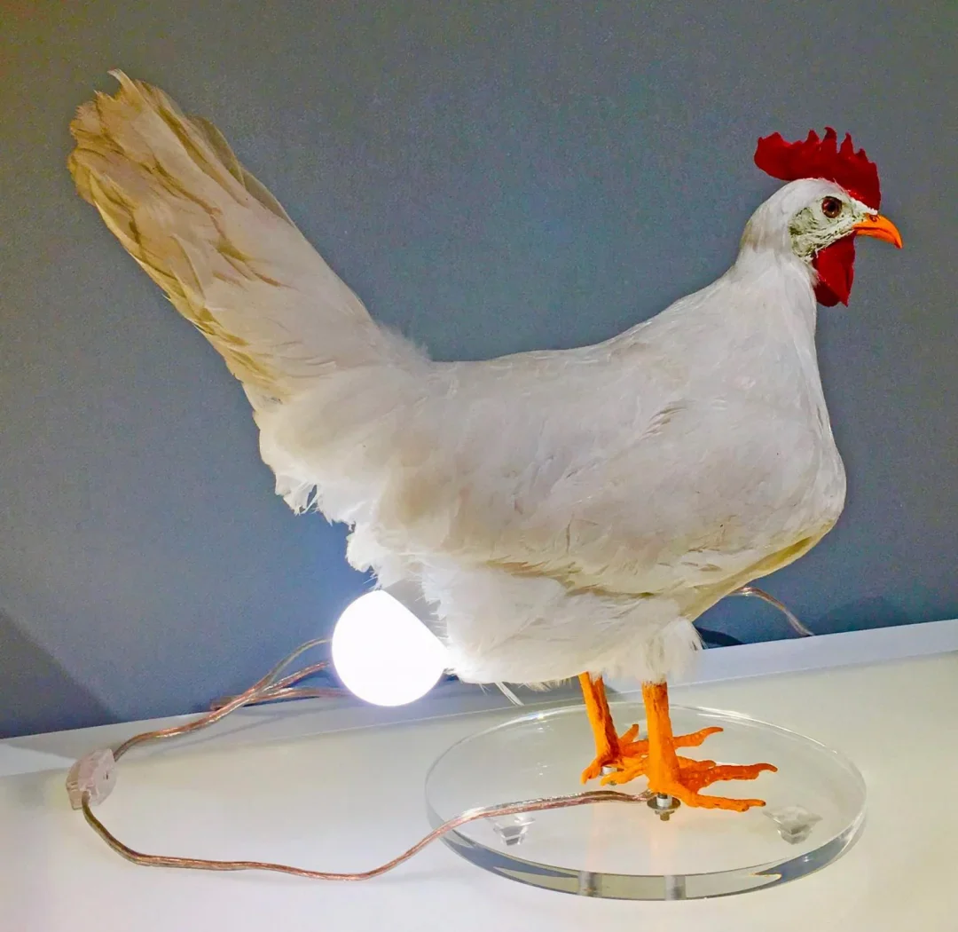 The CluckLight — Wärme entfachen, Freude inspirieren - Image 4