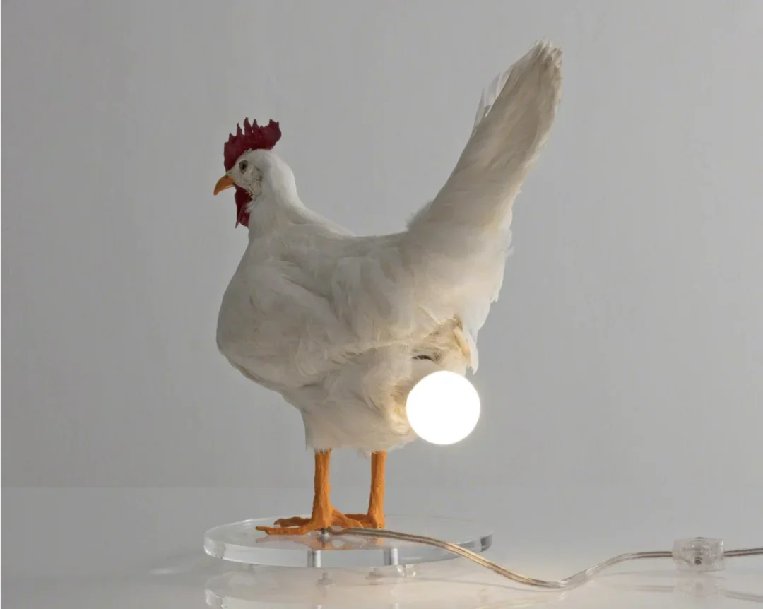 The CluckLight — Wärme entfachen, Freude inspirieren - Image 5