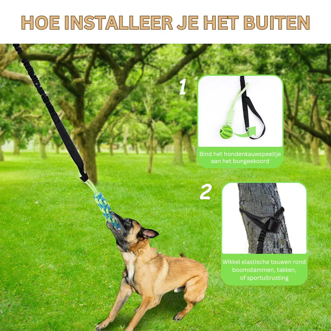 TierBite | Bietet stundenlangen Spaß und Bewegung für Ihren Hund - Image 3