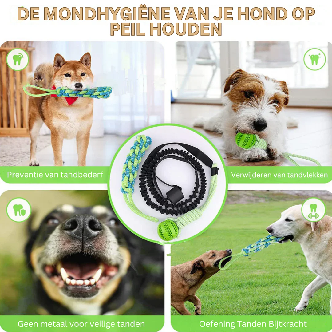 TierBite | Bietet stundenlangen Spaß und Bewegung für Ihren Hund - Image 4