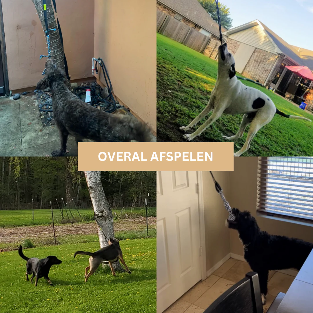 TierBite | Bietet stundenlangen Spaß und Bewegung für Ihren Hund - Image 5