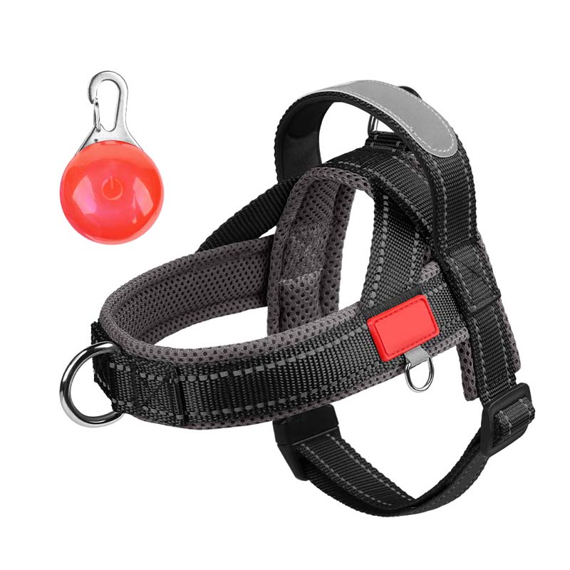 Total Comfort Geschirr — Stressfreie, sichere Spaziergänge - Image 15