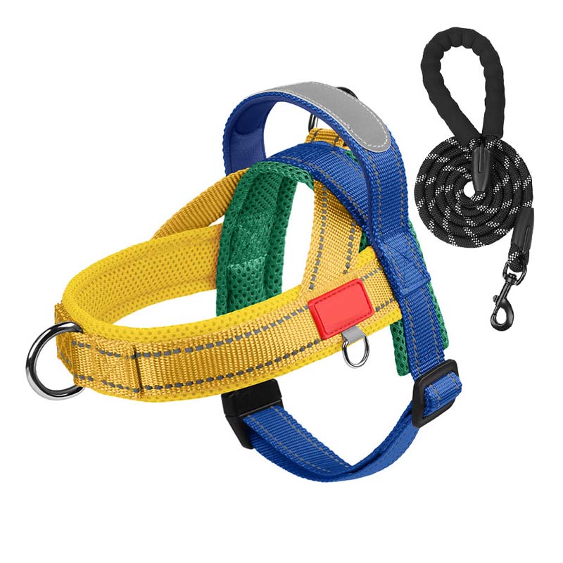Total Comfort Geschirr — Stressfreie, sichere Spaziergänge - Image 21