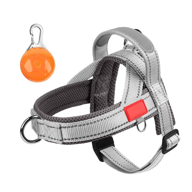 Total Comfort Geschirr — Stressfreie, sichere Spaziergänge - Image 29
