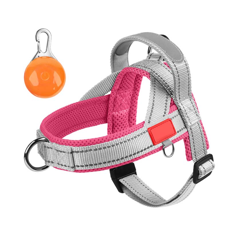 Total Comfort Geschirr — Stressfreie, sichere Spaziergänge - Image 30