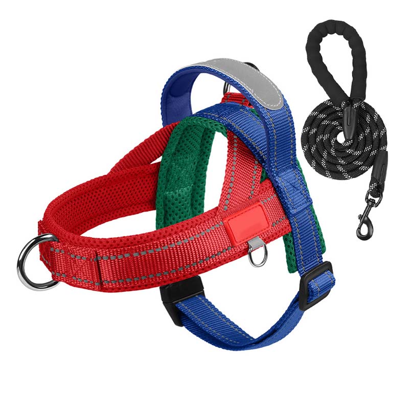 Total Comfort Geschirr — Stressfreie, sichere Spaziergänge - Image 8