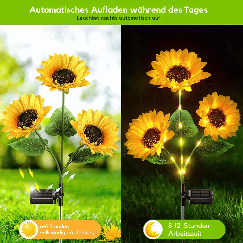 SunGlow — Solar-Sonnenblumenlichter | 50% RABATT - Image 3