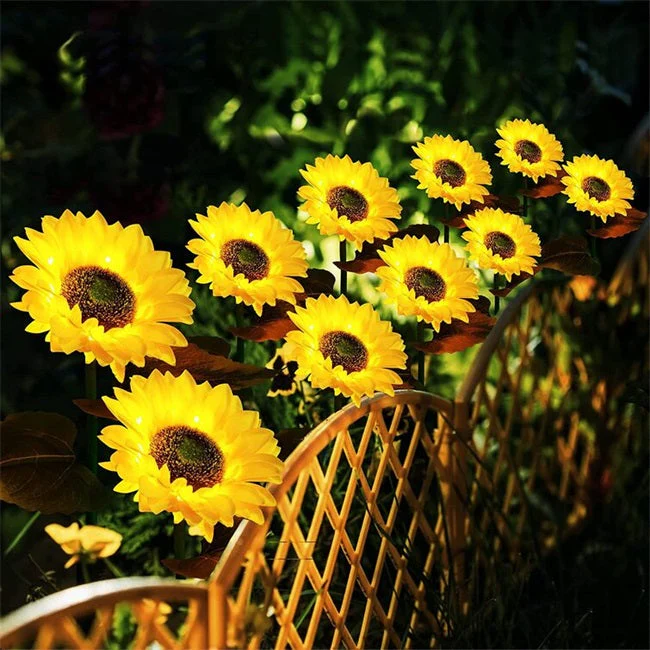 SunGlow — Solar-Sonnenblumenlichter | 50% RABATT - Image 5