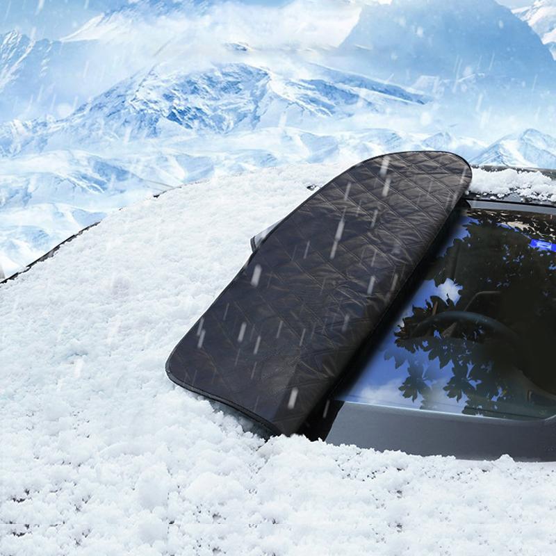 ViviGuard Shield — Ganzjähriger Wetterschutzschild - Image 17